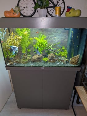 Aquarium