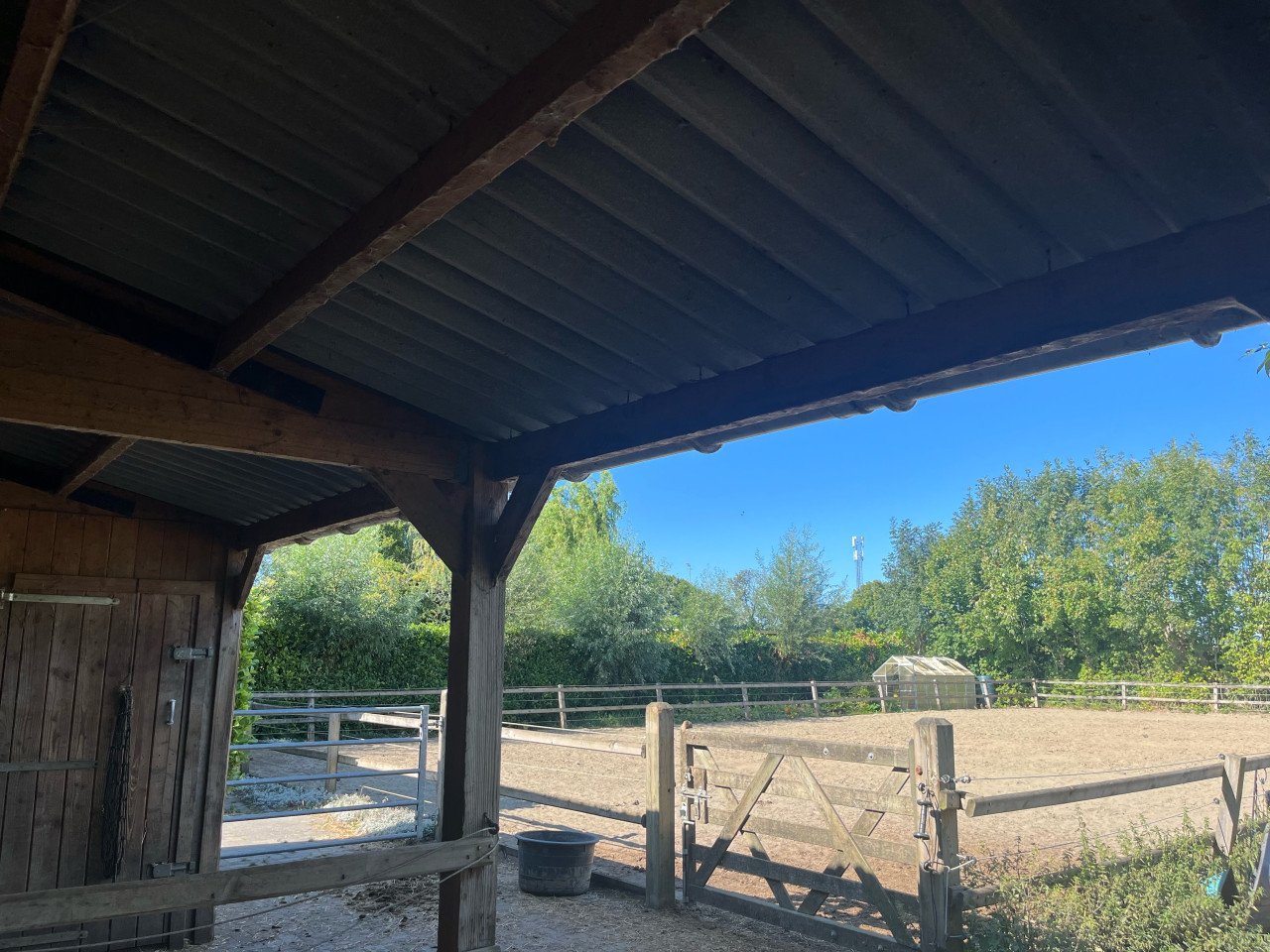 Stalling voor paard of pony incl. buitenbak
