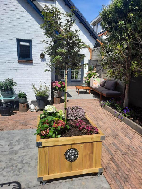 Zeeuwse knop bloembakken projecten ter inspiraties L80 x B83 x H60