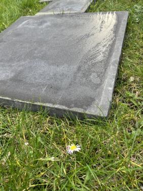 Terras Beton tegels.