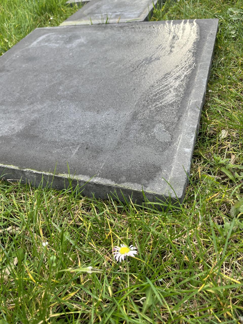 Terras Beton tegels.