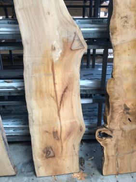 Zeeuws plataan boomstamblad 230 x 50 x 5 v 25 euro