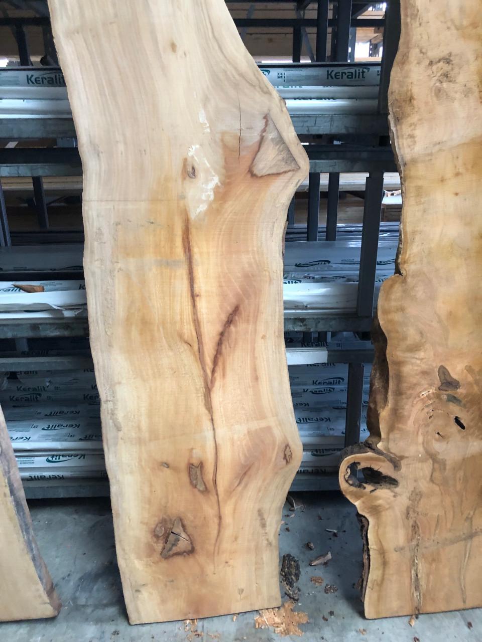 Zeeuws plataan boomstamblad 230 x 50 x 5 v 25 euro