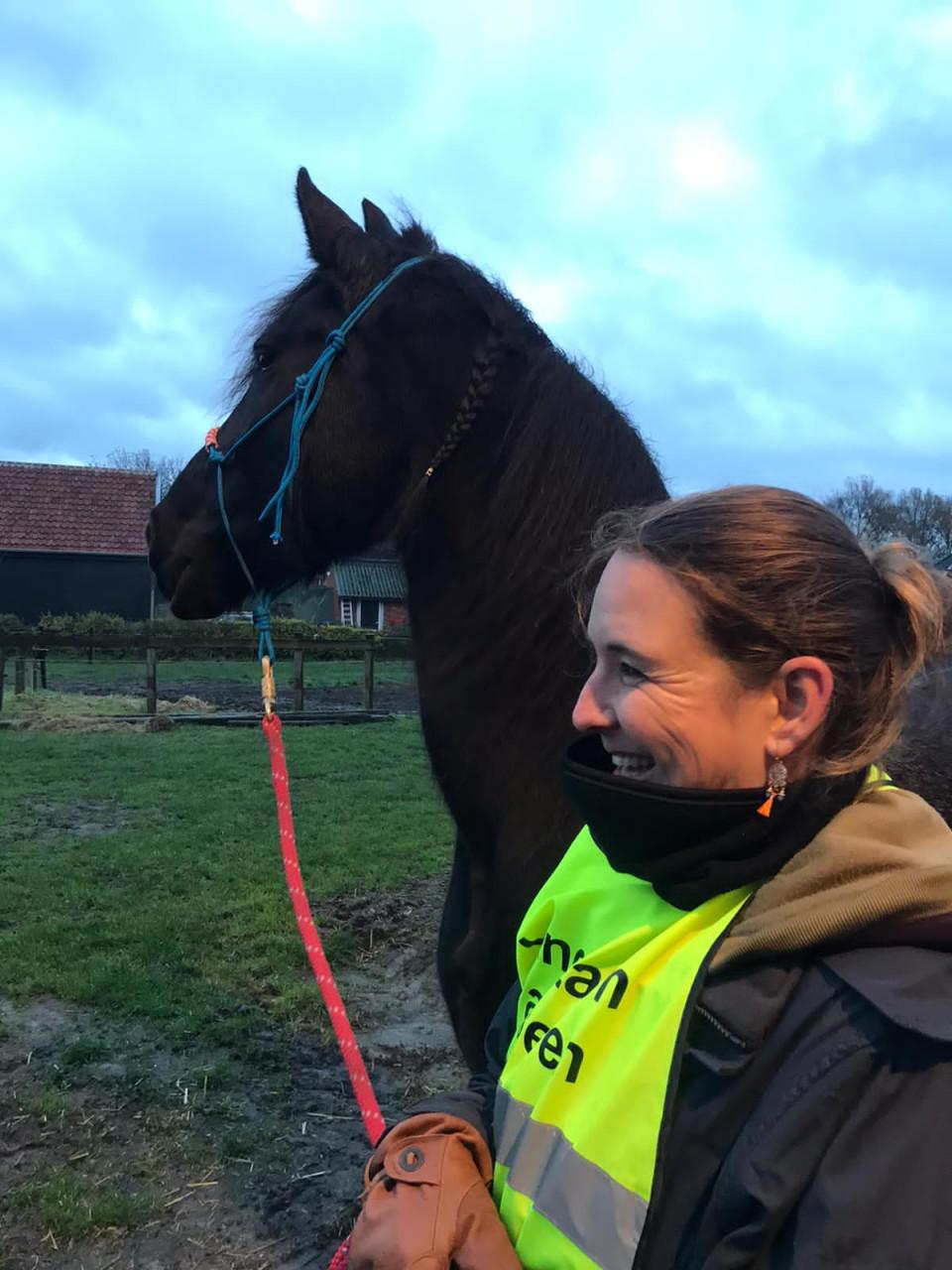 #Equi Pride# Grondwerk, rijden, gedrag, ESDr etc.