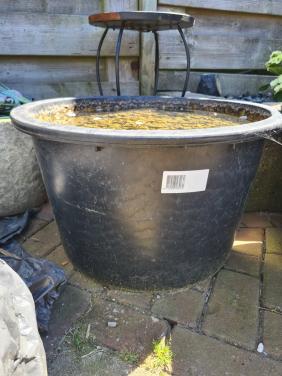 Gratis speciekuip met steentjes/grind