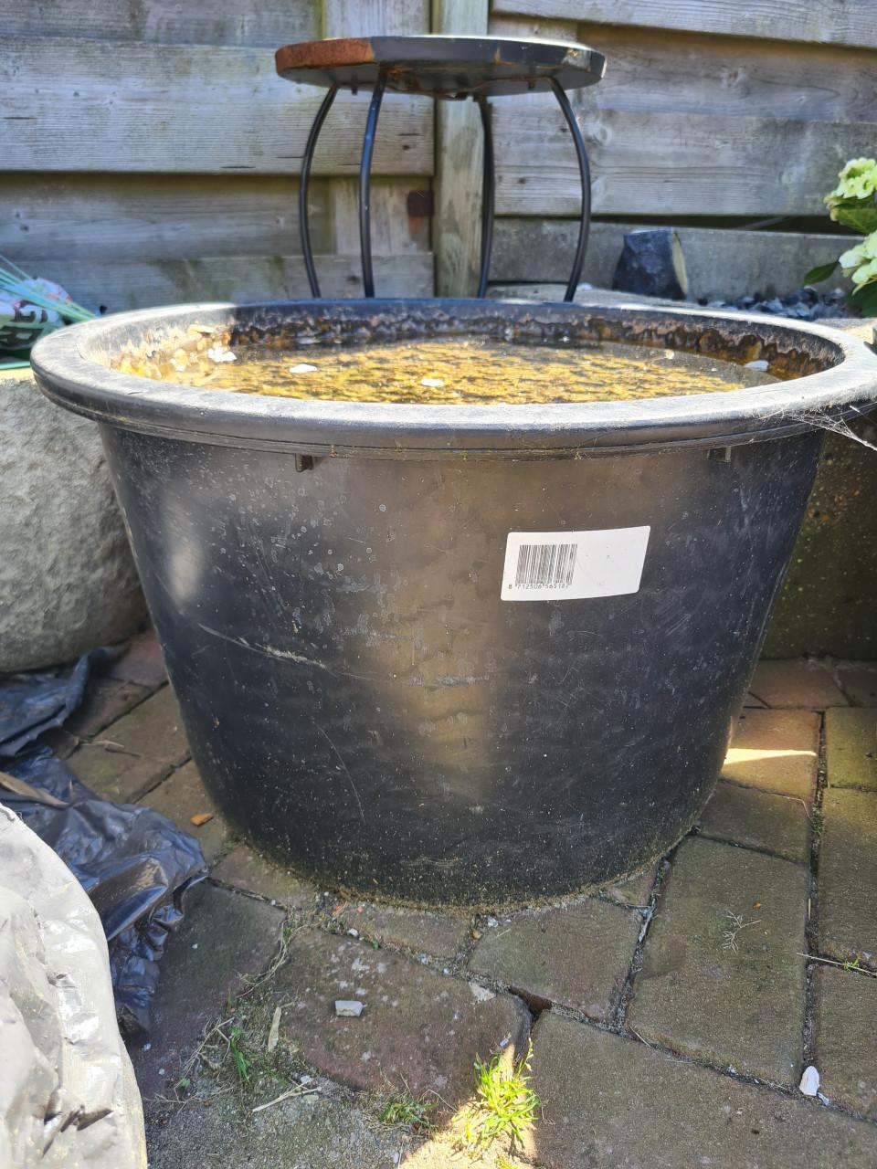 Gratis speciekuip met steentjes/grind