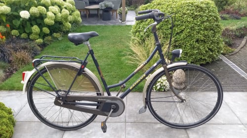 Batavus torino