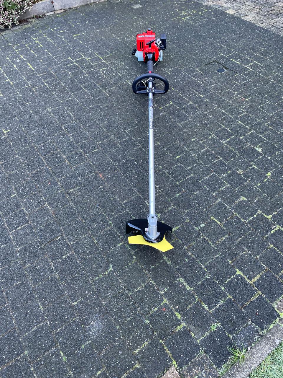 Bosmaaier nog nieuw