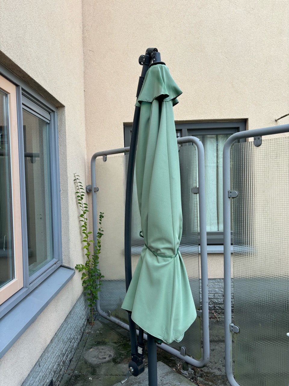 Parasol