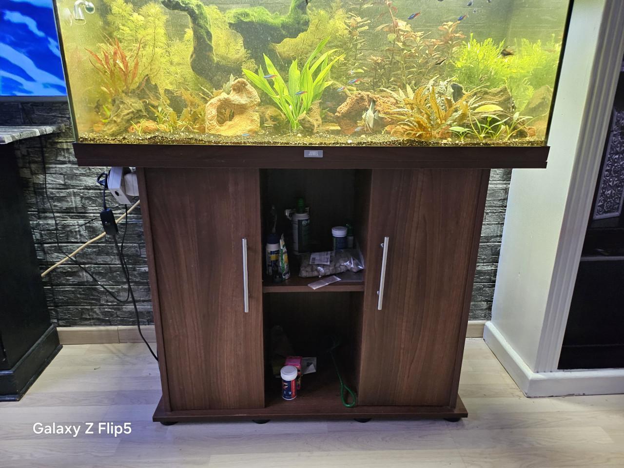 Aqarium met toe behoren