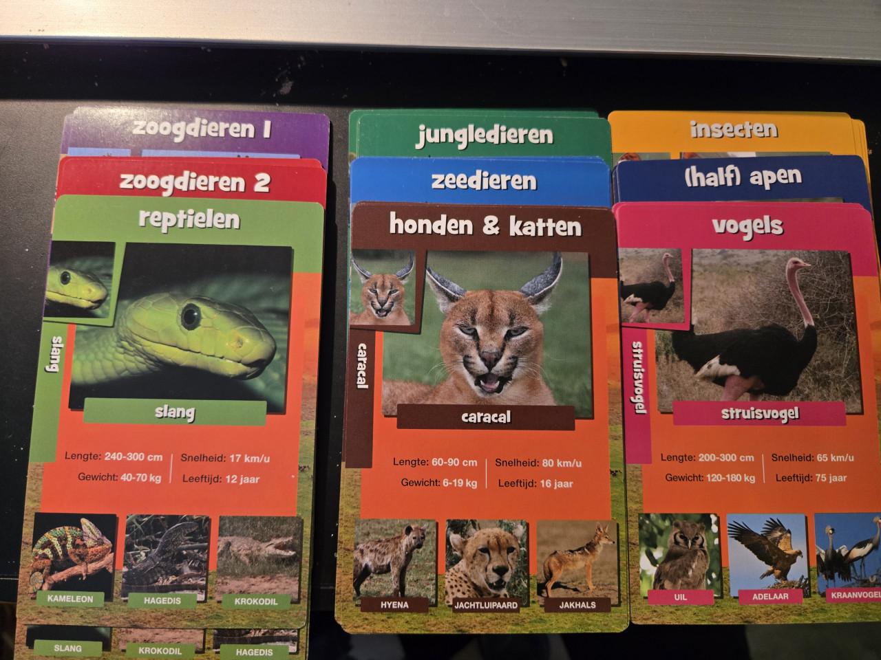 Wildlife Weetjeskwartet van Identity Games,
