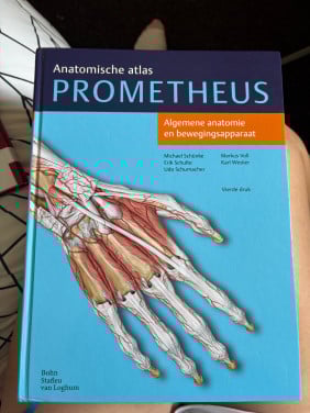 Anatomische atlas