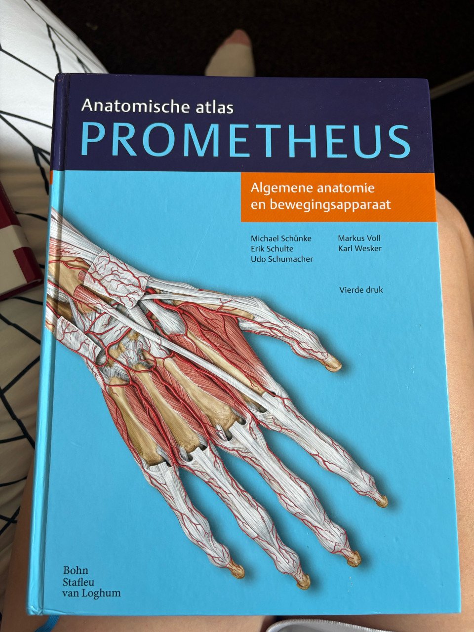 Anatomische atlas