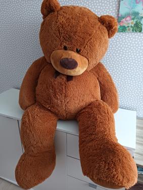 Grote teddebeer