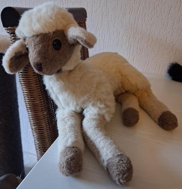 Oud lammetje knuffel