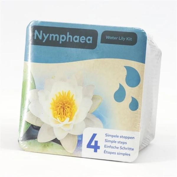 Droogverpakking Waterlelie Wit