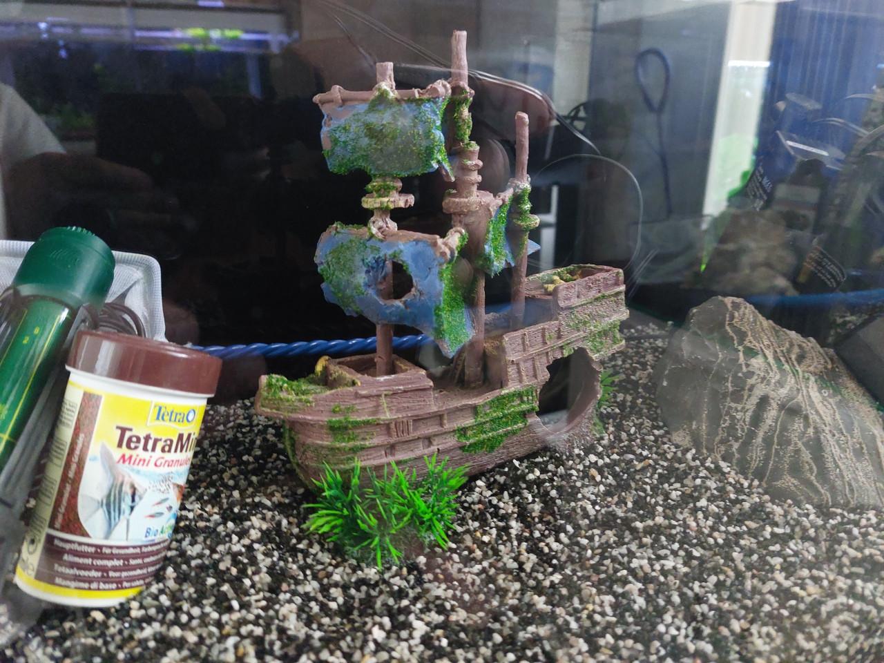 Superfisch quadro 40 nieuwstaat