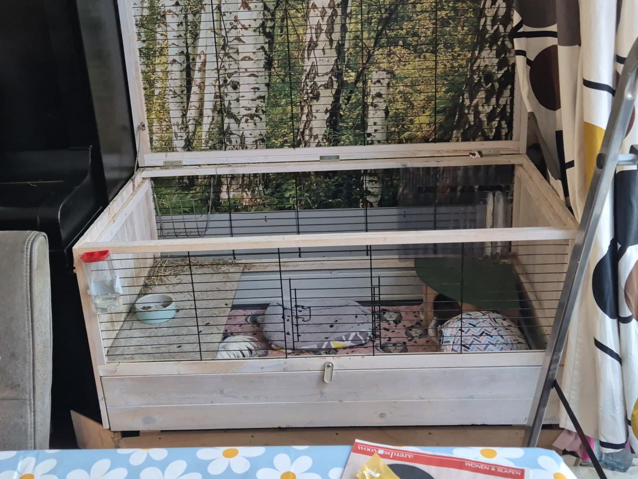 Beeztees konijnen/caviahok