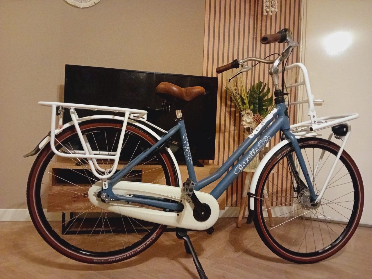 Super mooie Gazelle miss Grace