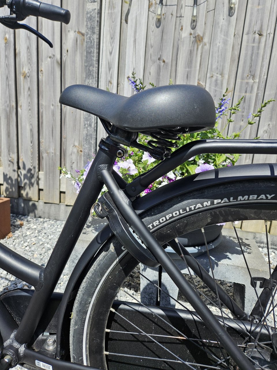 Gazelle dames/meisjes transportfiets mat zwart