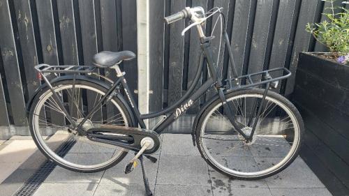 Batavus Diva