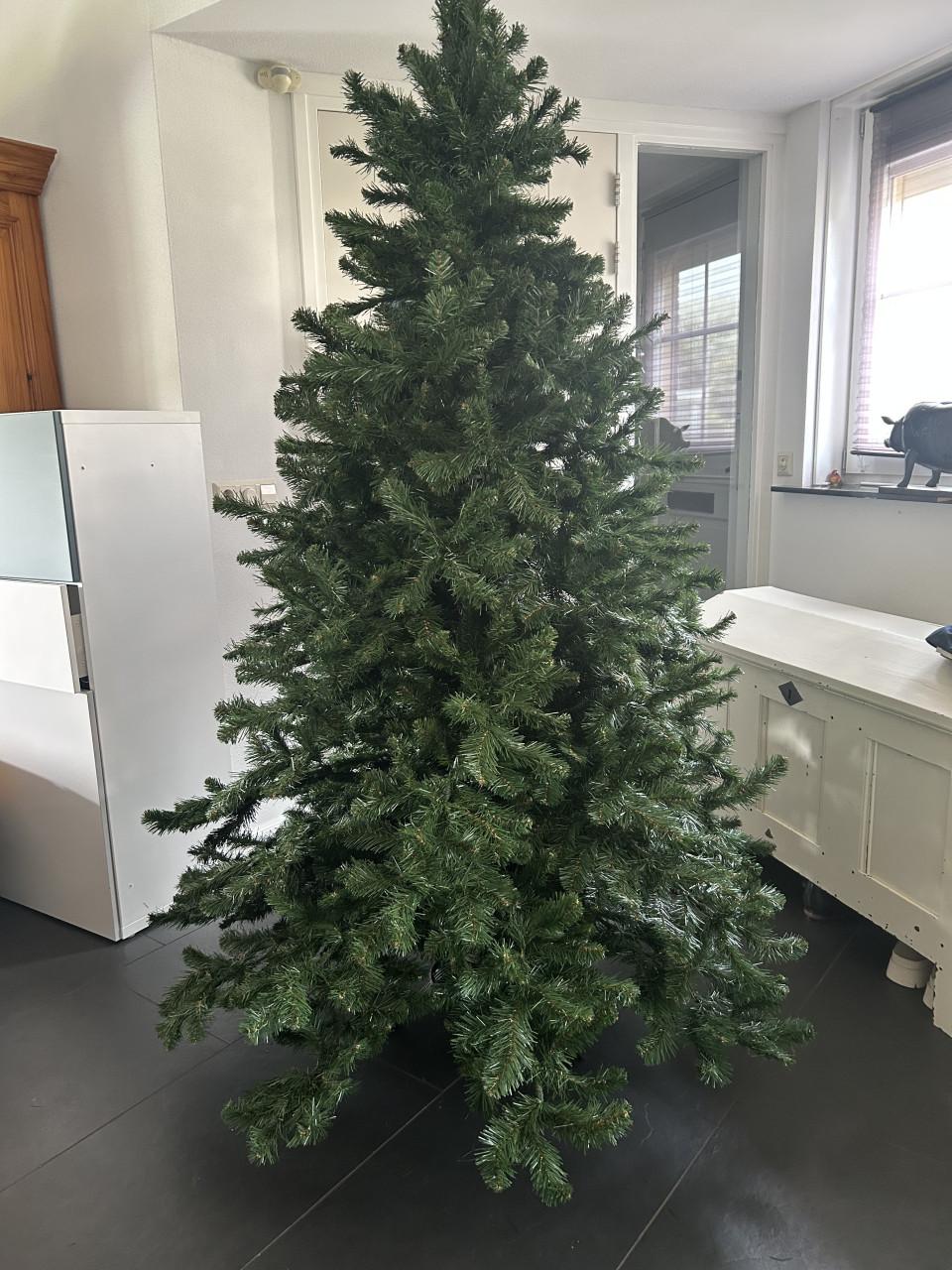 Kerstboom Gross Clockner 2.15 hoog 1,50 breed Triumph tree Intratuin