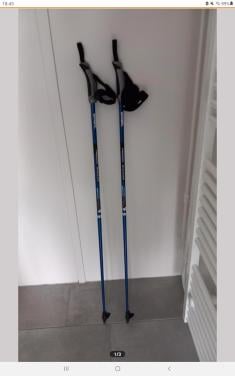 Nordic Walking Wandelstokken