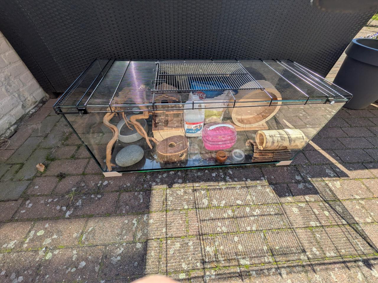 Knaagdier verblijf