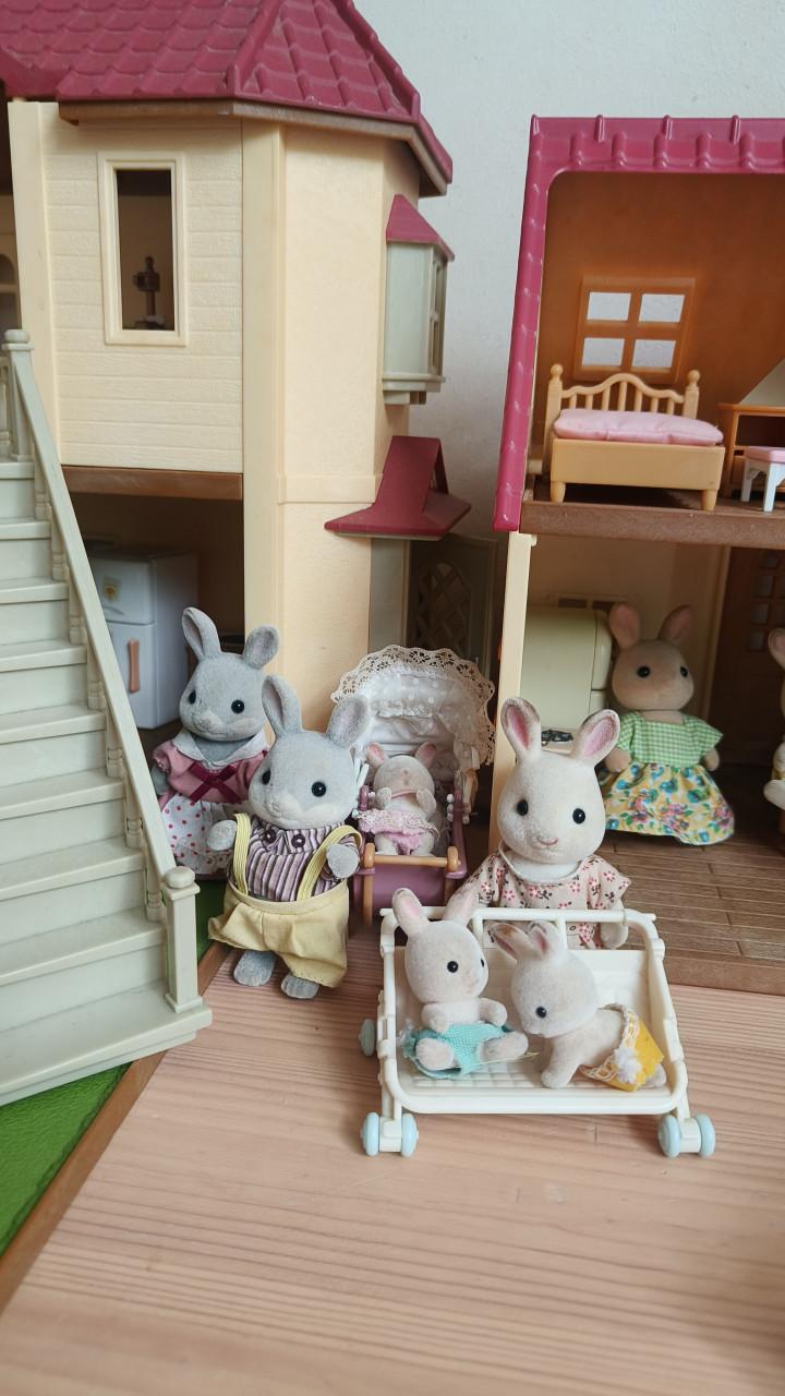 Grote set Sylvanian Families