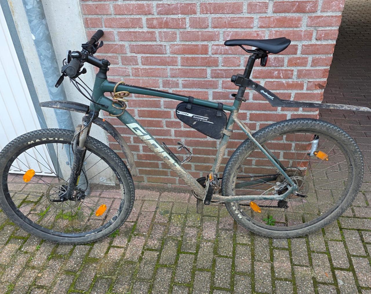 Mountainbike Giant Talon 3 29er 2021, maat XXL