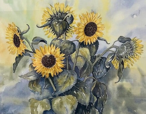 MOOI GESCHILDERDE AQUAREL ZONNEBLOEMEN INGELIJST