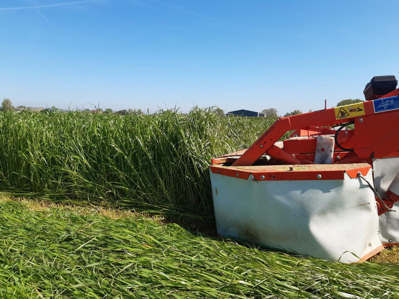 Vooruitbestellen van hooi/kuil en stro nieuwe seizoen