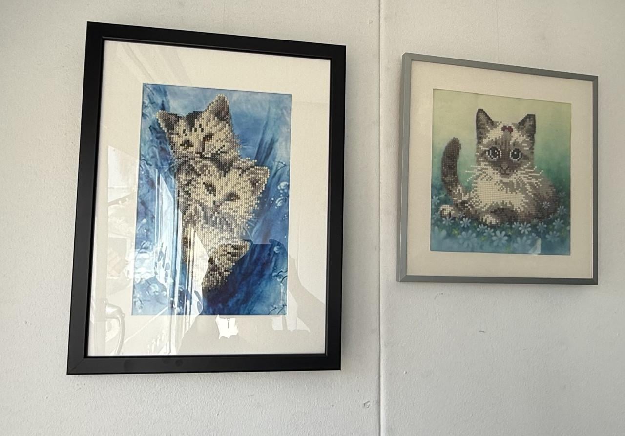 Borduur werkjes / daimantpainting ingelijst