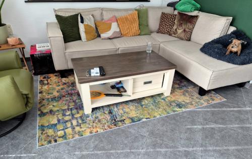 Vloerkleed 160 x 230 gratis