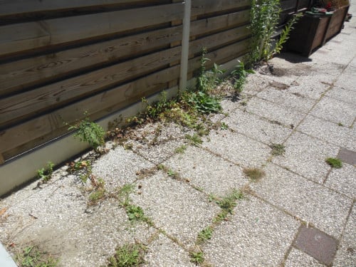 Onkruid verwijderen uit uw tuin.