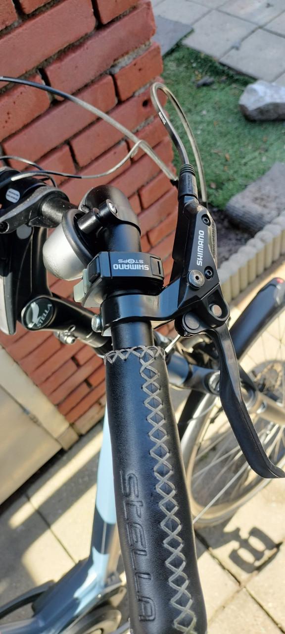 Stella Livorno steps