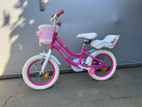 Meisjes fiets
