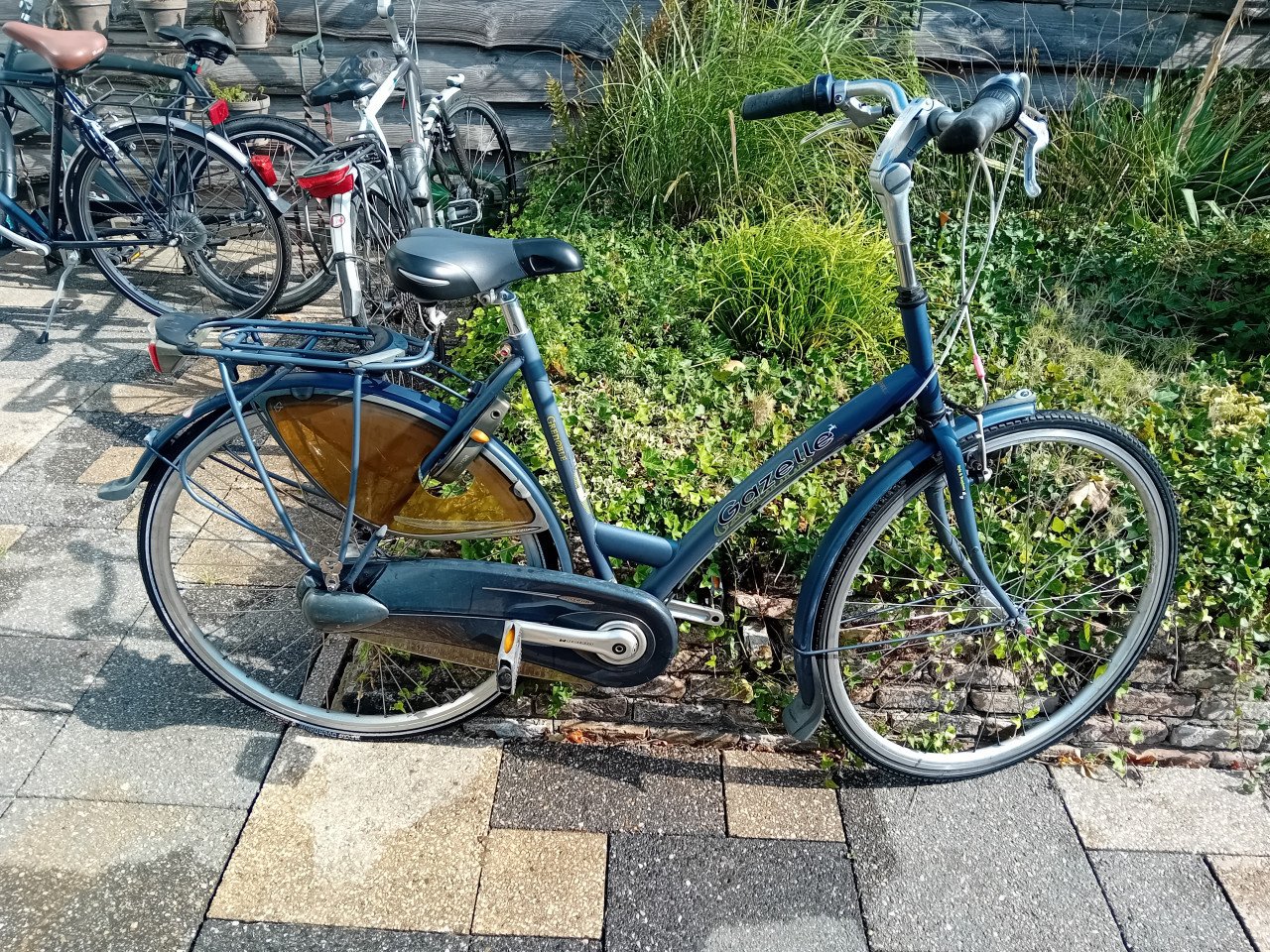 Dames fiets