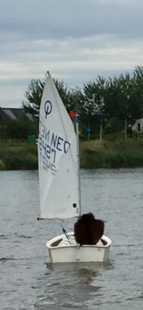Zeilboot optimist (wedstrijd met meetbrief)