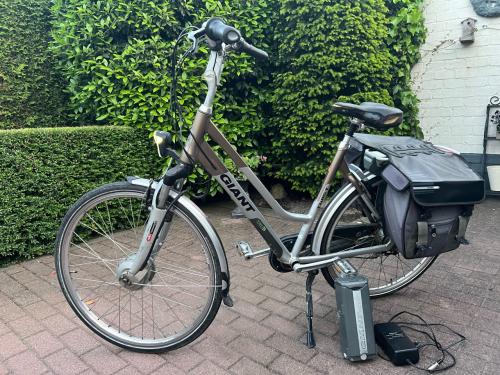 Giant elektrische fiets