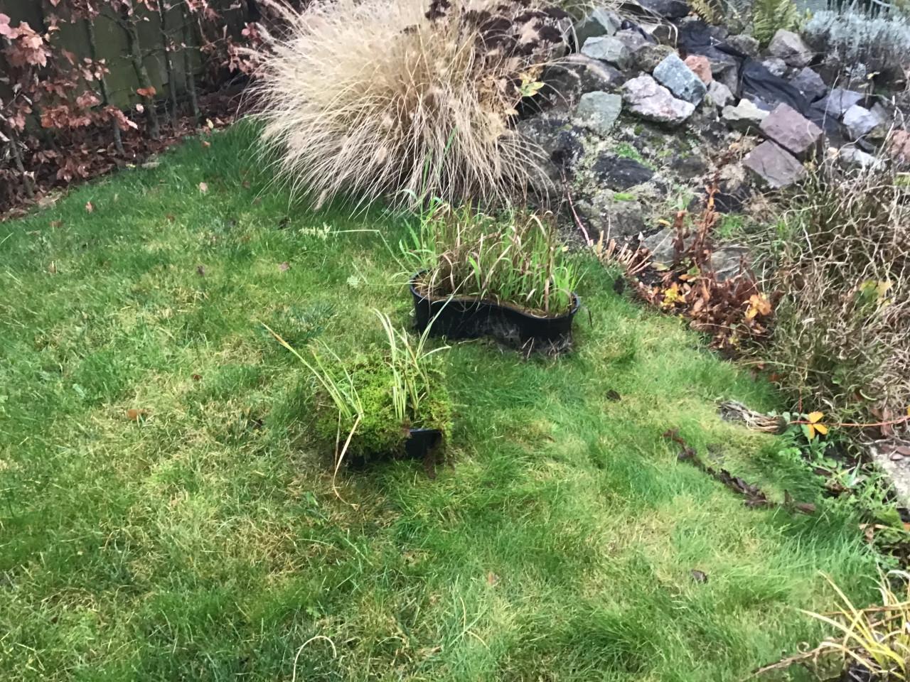 Vijverstenen, vijverplanten , kruik, etc