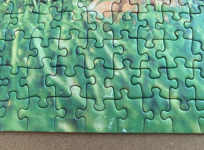 Puzzel 1000 stukjes