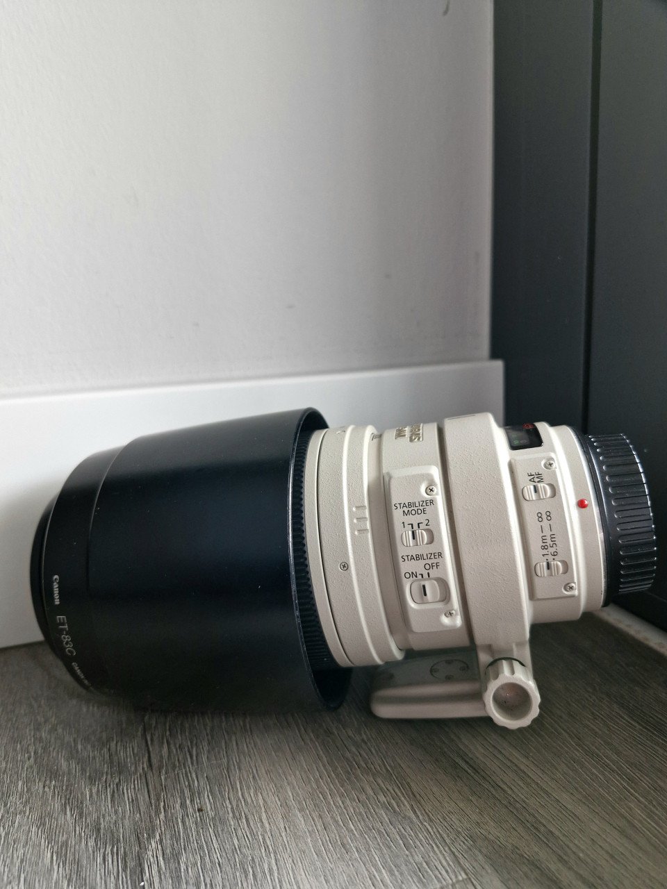 Canon EF 100-400 mm lens