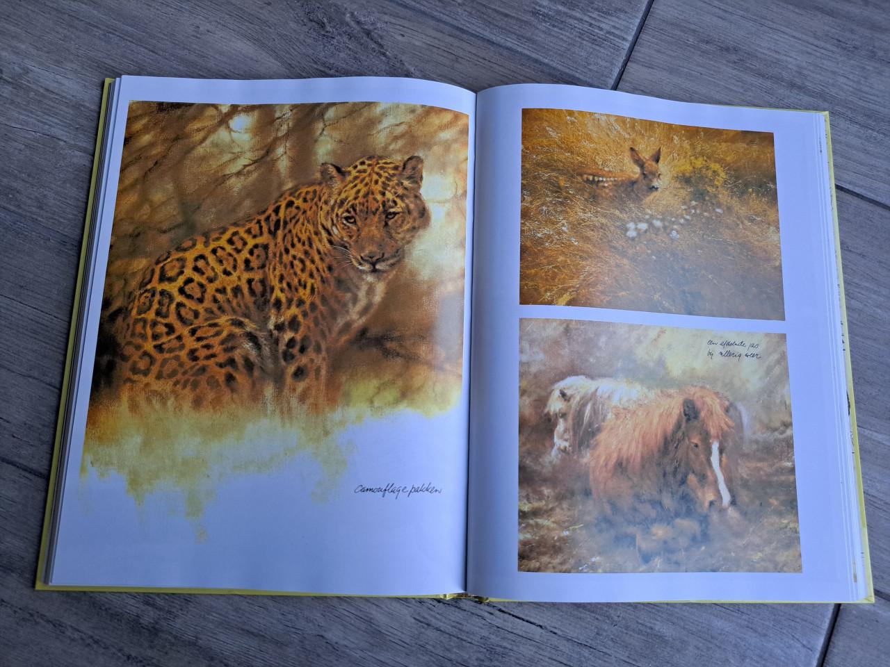 De ark van Noach Ere wie ere toekomt van Rien Poortvliet