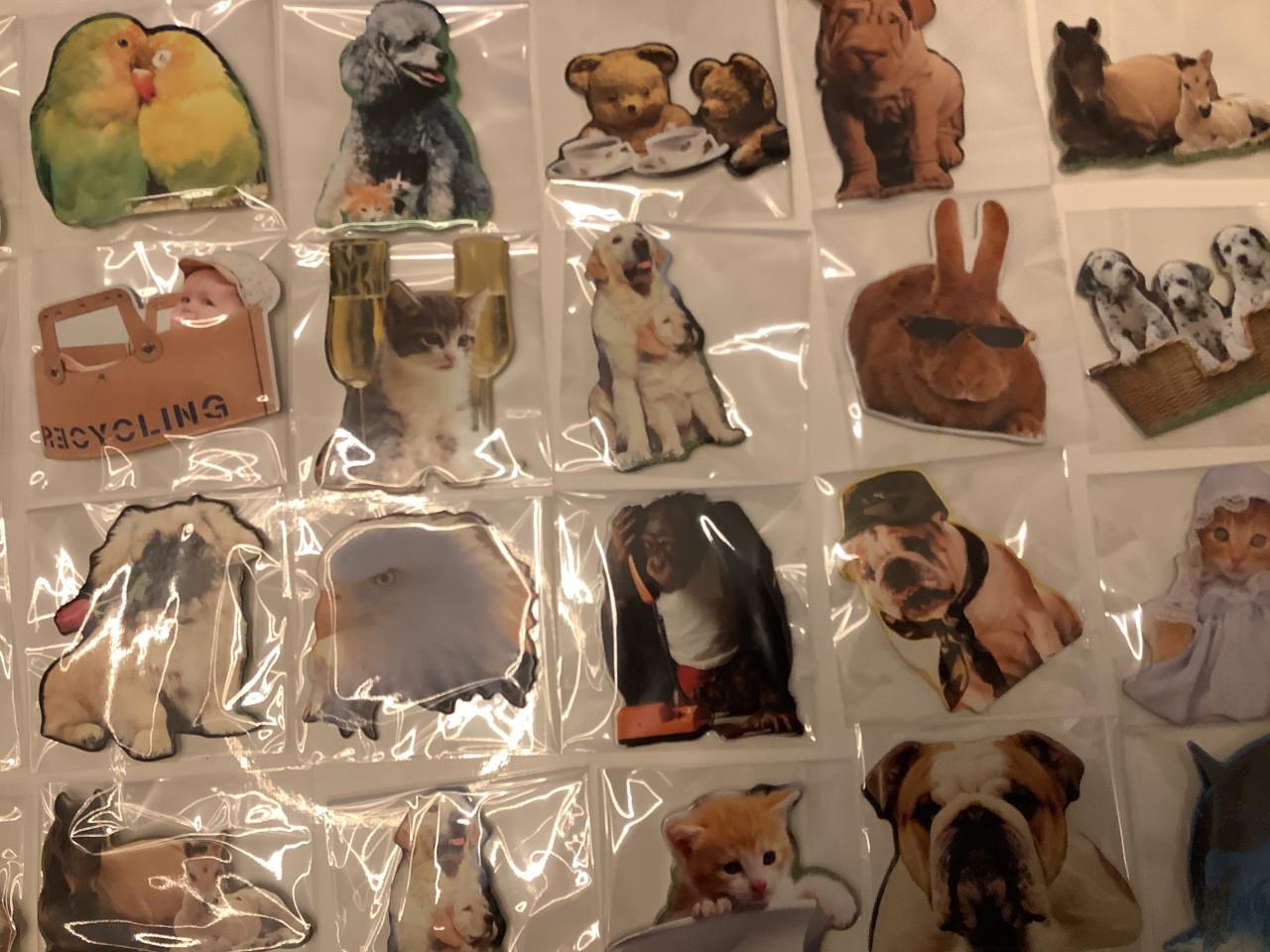 Partij super leuke magneetjes ( partij 21)