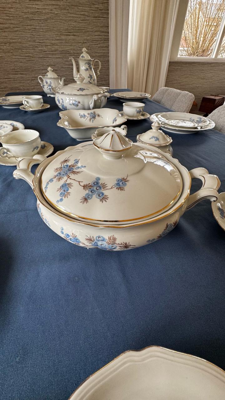 Mitterteich Bavaria servies compleet 5 / 6 personen.
