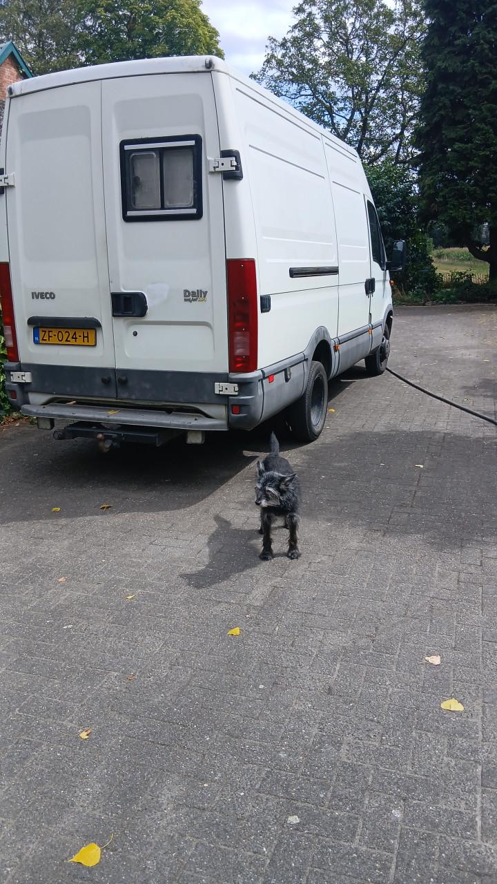 Bus kampeer wagen