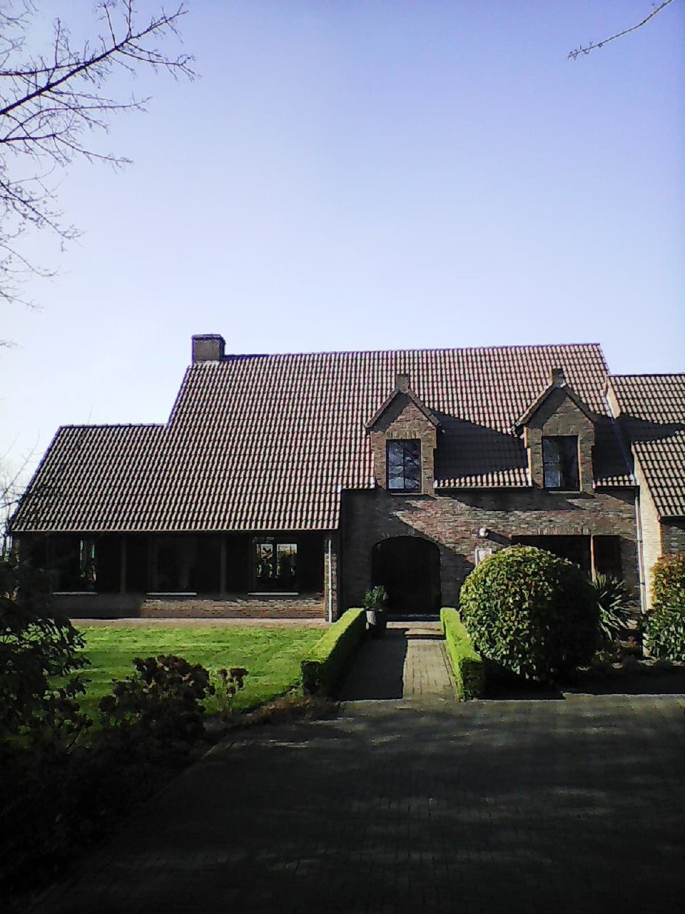 Dakreiniging ontmossen van daken