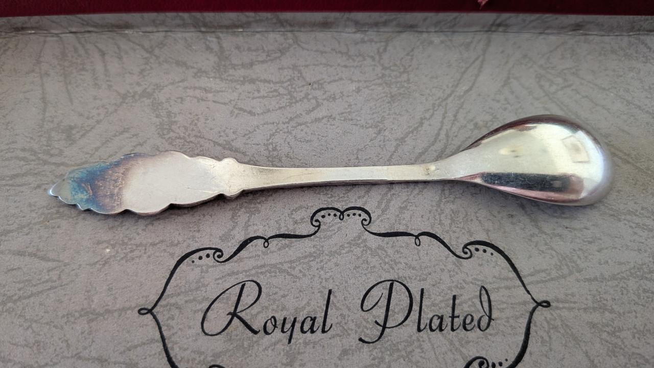Set van 12 verzilverde Royal Plated vruchtenlepeltjes in originele doos