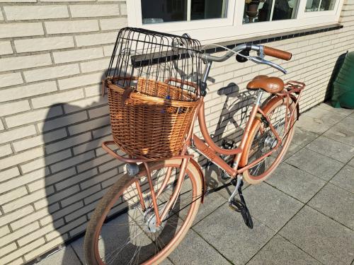 Batavus Diva 7 brons frame 50